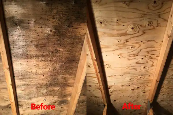 water damage restoration service Caneyville